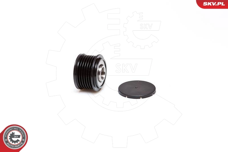 Alternator Freewheel Clutch